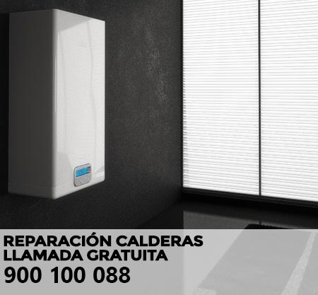 Reparación averías caldera Proline